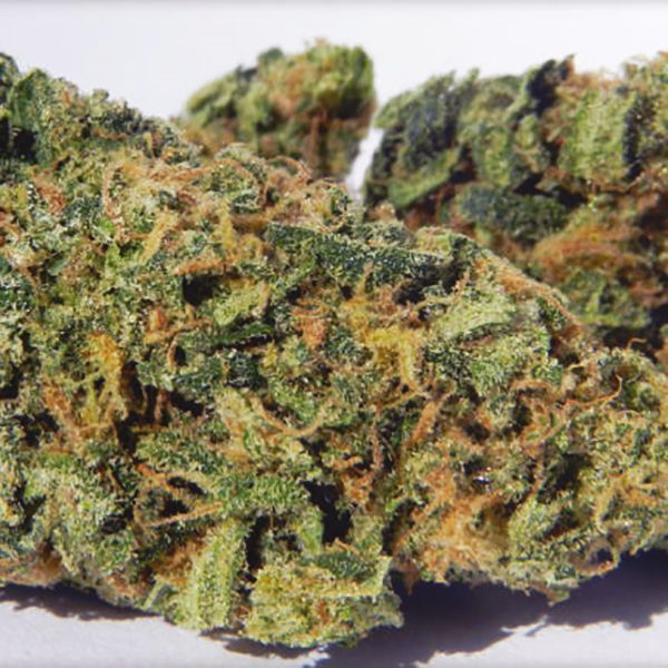 Blueberry x OG Kush Fem