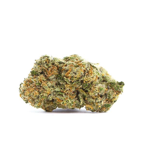Buy Humboldt in USA 