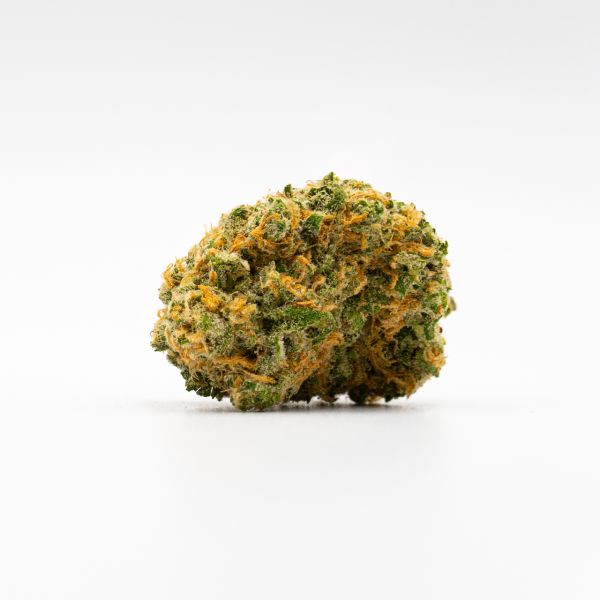 Critical Widow Fem Critical Widow Fem