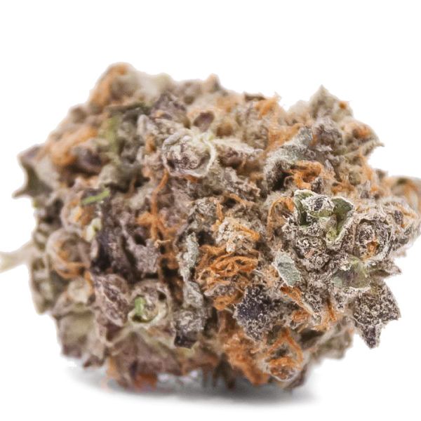 Black Water Purple OG Cheese_1 