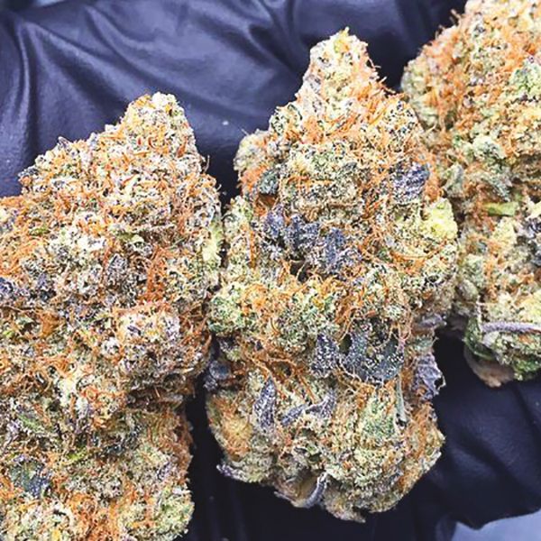 Gelato Fem Gelato Fem