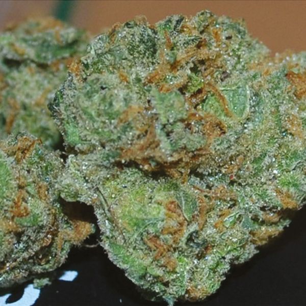 Mexican Haze Fem Mexican Haze Fem