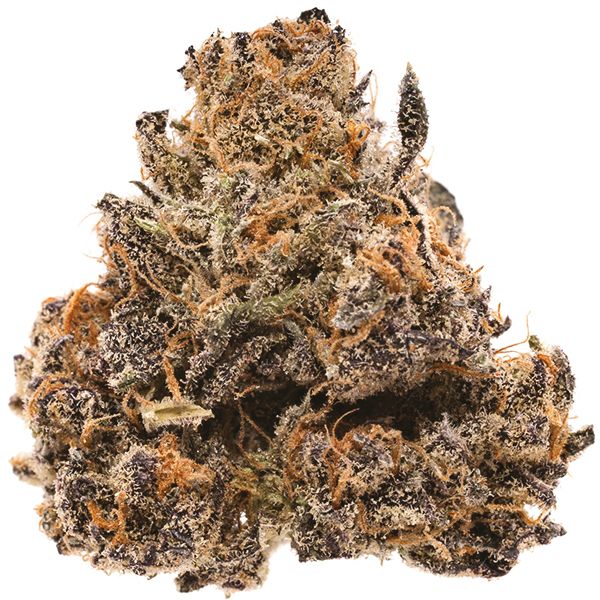 Cherry Pie Strain Seeds 