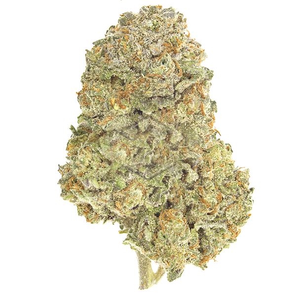 Jack Herer Fem Jack Herer Fem