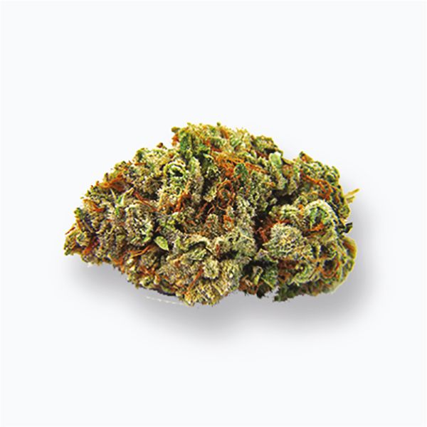CBD OG Kush 1 to 15 Fem CBD OG Kush 1 to 15 Fem