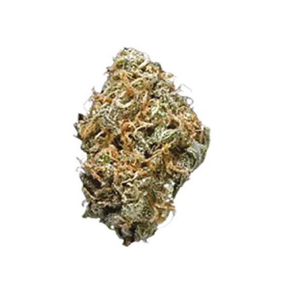 Blue Haze Seeds 