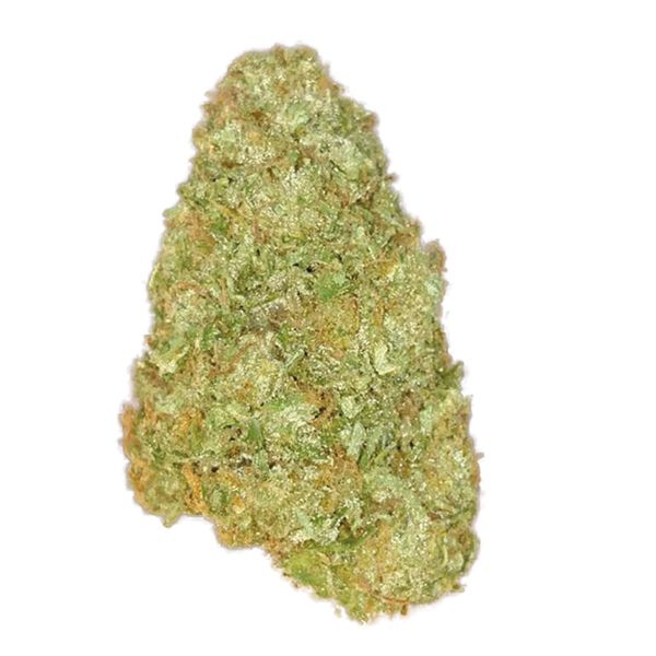 Zkittlez Fem Zkittlez Fem
