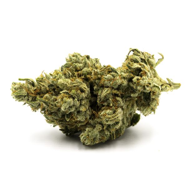 Sour Diesel Reg Sour Diesel Reg