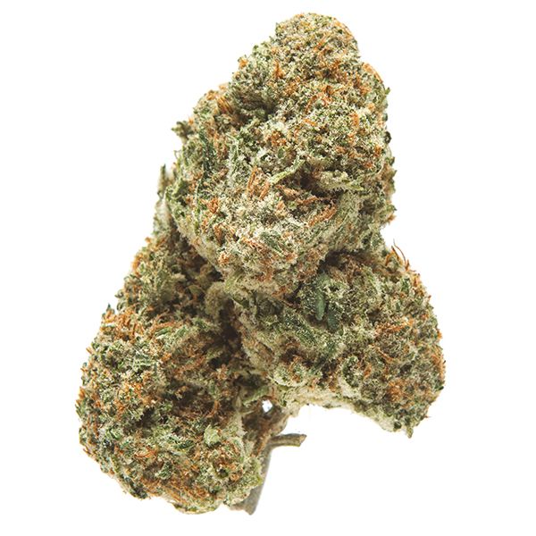 Kali Mist Fem Kali Mist Fem