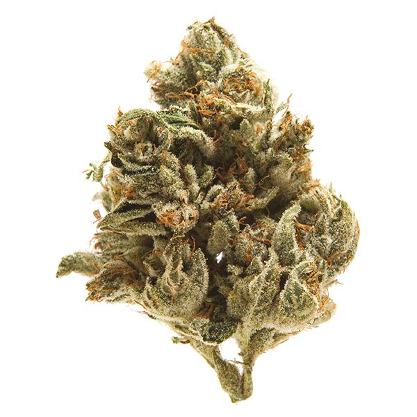 L.A. Confidential Fem L.A. Confidential Fem