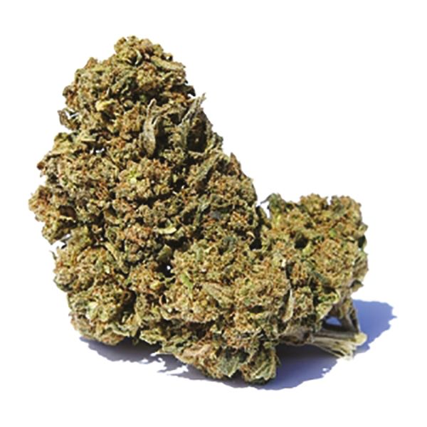 CBD Mexican Gold 1 to 1 Fem CBD Mexican Gold 1 to 1 Fem