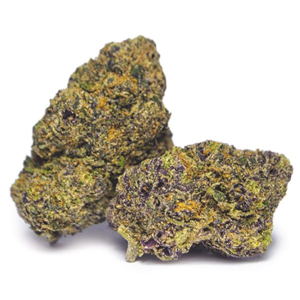 Sunset Sherbet Seeds USA 