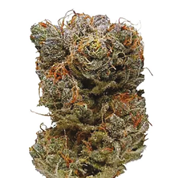 Auto Blueberry x Jack Herer Fem Auto Blueberry x Jack Herer Fem