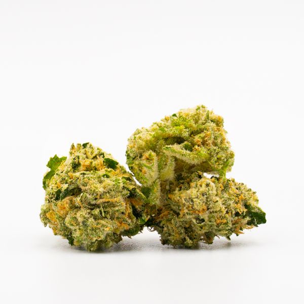 Skywalker Fem Skywalker Fem