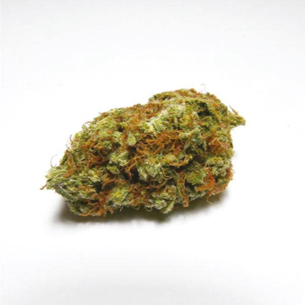 Blue Cheese Strain Seeds 
