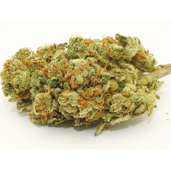 OG Kush Diesel Strain Seeds 