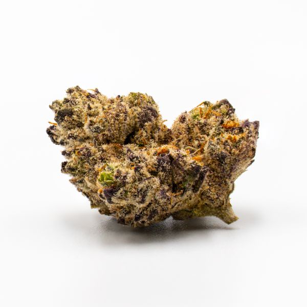 Platinum Cookies Fem