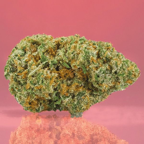 CBD ACDC 1 to 18 Fem CBD ACDC 1 to 18 Fem