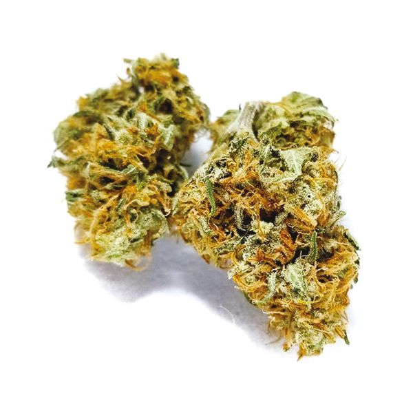 Gold Leaf Seeds USA 