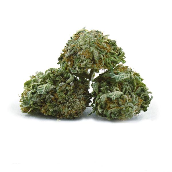 CBD ACDC 1 to 18 Fem CBD ACDC 1 to 18 Fem