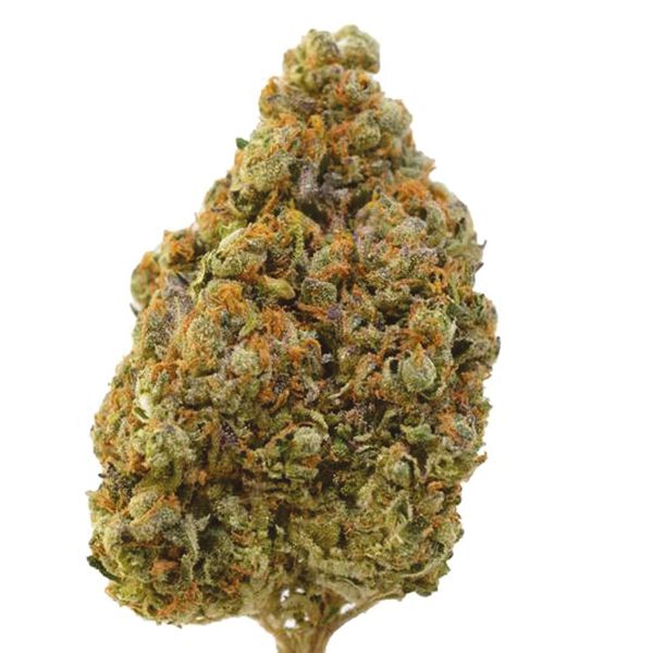 Purple Thai_1 