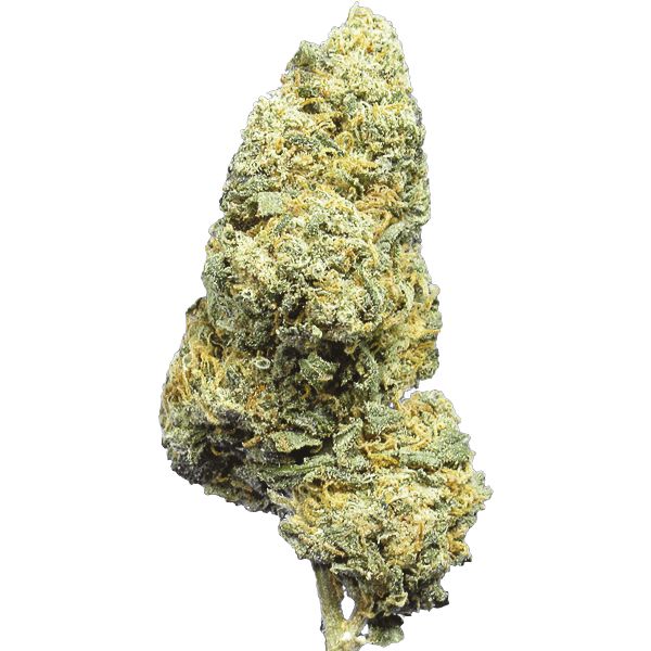 Buy Zombie DeathF Seeds For Sale 