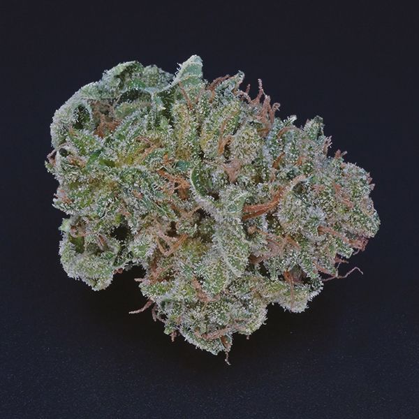 serpentine OG strain 