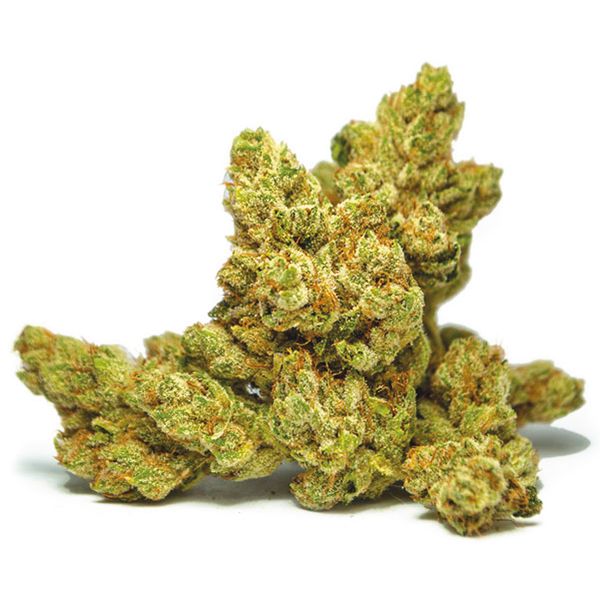 Legend OG Strain Yield 