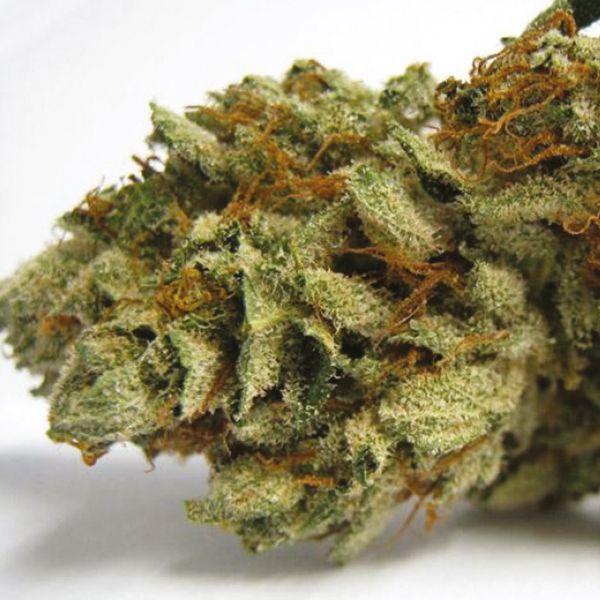 OG Kush x Diesel Fem OG Kush x Diesel Fem