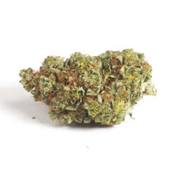 Alien Gorilla Glue Fem